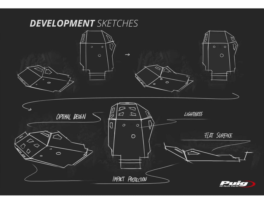 BMW F 900 GS [2025] – Engine Guard – Silver