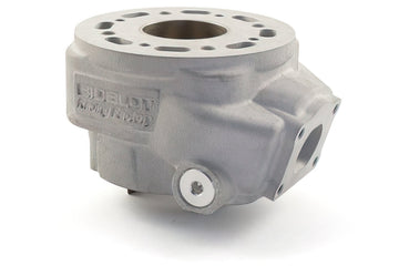 Beta RR SM 50 2T - cylinder kit Racing RF50WR