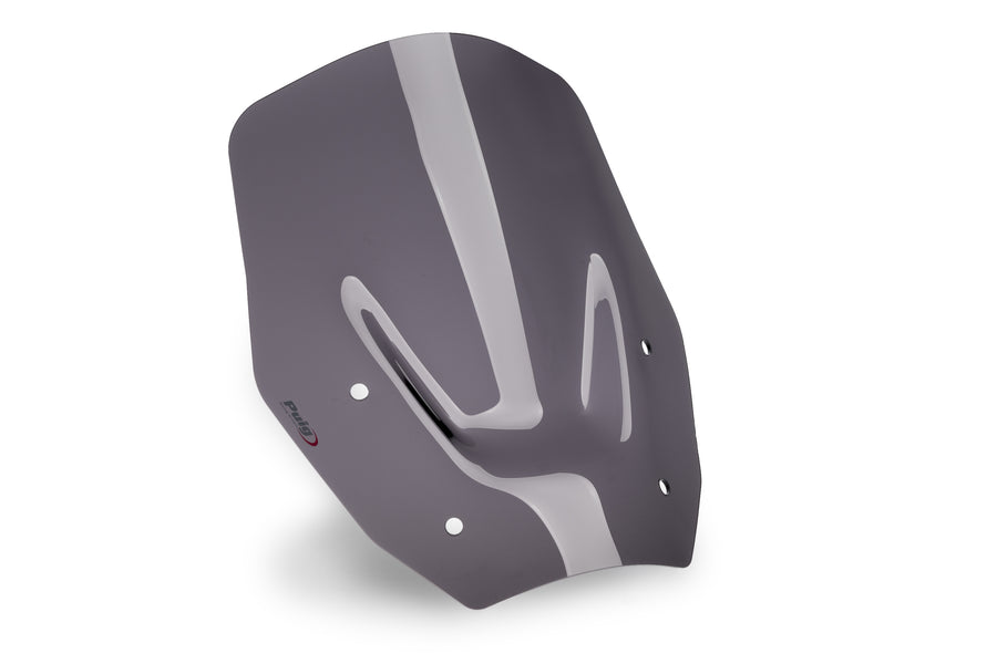 BMW R 1300 GS TROPHY [2025] – Standard Screen – Transparent