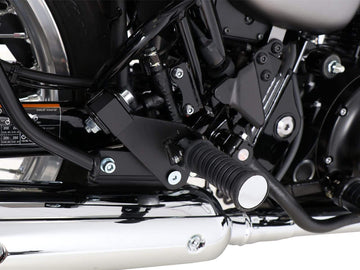 Kawasaki W 800 Street [2019-2025]-Passion