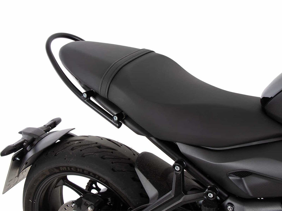 Triumph Trident 660 [2021-2024] - Palaance holding concept