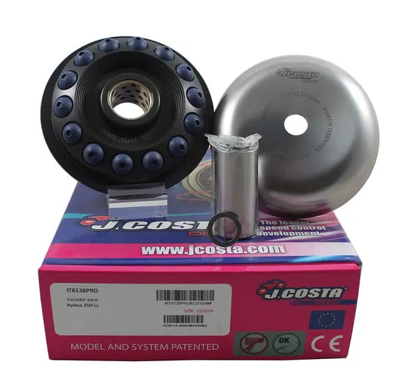 Daelim S2 125 F.I Freewing [2009] - Variator Pro – Bild 2
