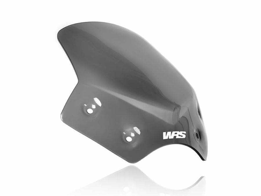 BMW R 1200 R [WRS] - windshield