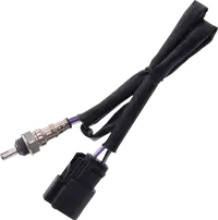 Harley-Davidson Vrscf 1250 V Rod Muscle [2013, 2015-2017] - 12 mm lambda sensor – item no. 9905 – Figure 11
