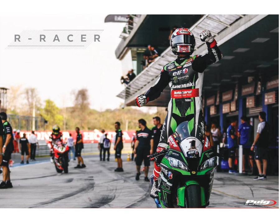 KAWASAKI ZX-10RR NINJA PERFORMANCE [2018] – R-Racer screen – heavily tinted