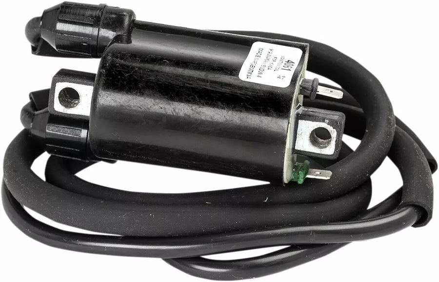 Honda CBR 900 RR [Rick's Motorsport Electric] - ignition coil