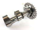 Aprilia RSV 1000 RR Factory [2009] - Camshaft exhaust camshaft cylinder front-2