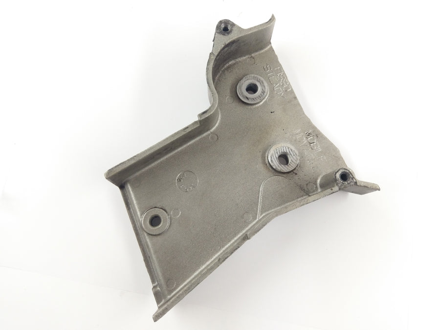 Ducati Monster S4R [2003] - Cover vertical cylinder