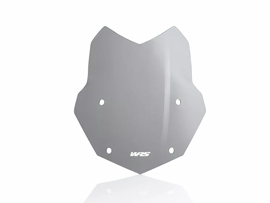 BMW R 1200 R [WRS] - windshield