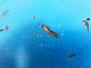 Kawasaki ZRX 1200 S ZRT20A [2003] - Middle part lower fairing-3