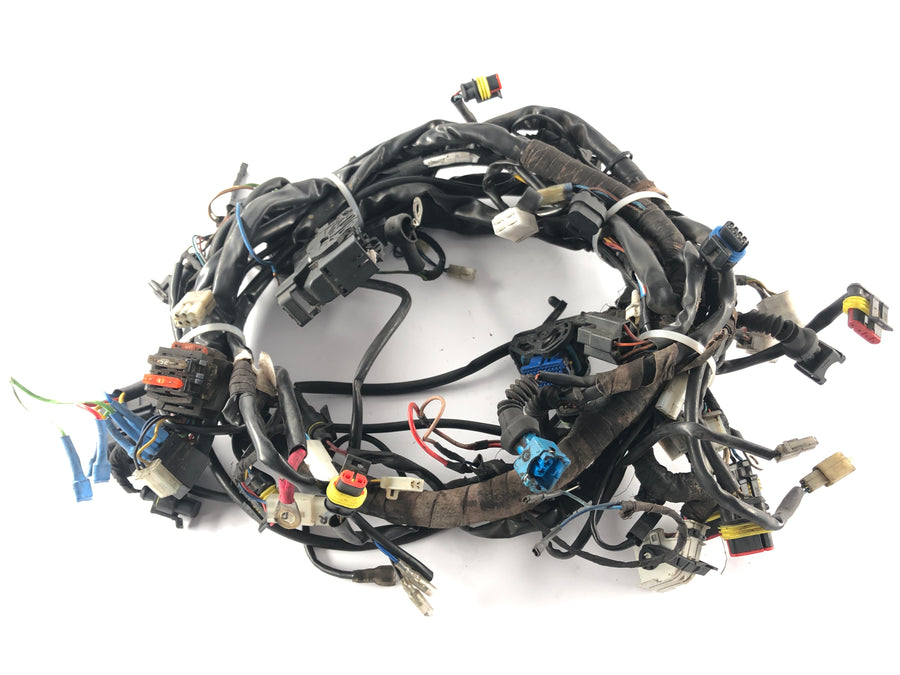 Moto Guzzi Norge 1200 LP [2006] - Wiring harness