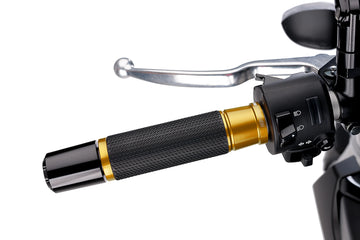 BMW F 900 R [2025] - PUIG Hi-Tech Ascent Grips | Gold | PUIG 6326O