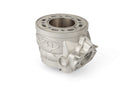 Aprilia RX Factory 50 2T - cylinder kit 100cc