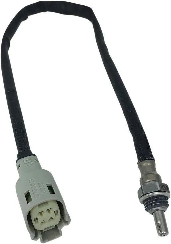 Harley-Davidson Vrscf 1250 V Rod Muscle [2013, 2015-2017] - 12 mm lambda sensor – item no. 9905 – picture 2