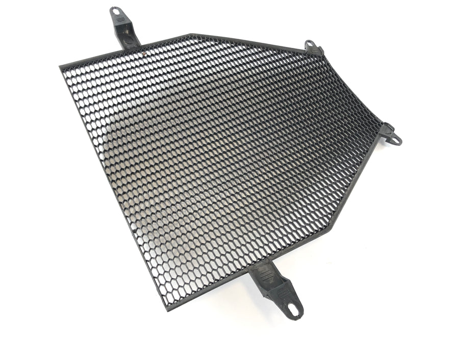 BMW K 1300 S K12S [2009] - Radiator grille