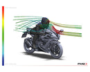 KAWASAKI ZX-10RR NINJA PERFORMANCE [2018] – R-Racer screen – heavily tinted-13