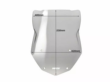 BMW R 1200 R [WRS] - windshield - 0