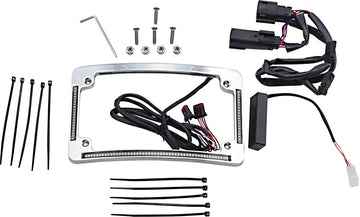 harley davidson fltruse [CUSTOM DYNAMICS] – LED radius license plate frame