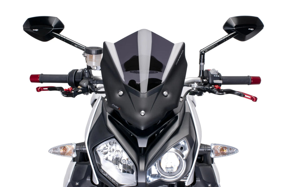 BMW S 1000 R [2018] – New Generation Sport – Tinted