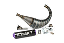 Aprilia RX Factory 50 2T - Exhaust R/T 70-80 Black Purple