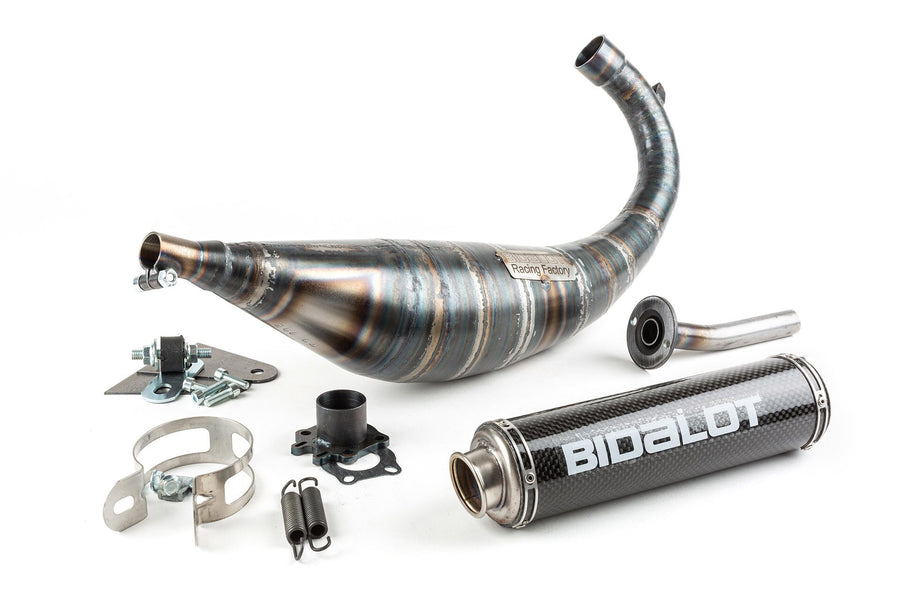 Aprilia SX SM 50 2T D50B0 [2007–] - Exhaust RF50WR