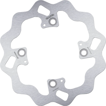 Honda FES 150 Pantheon [2003-2005] - brake disc – picture 1