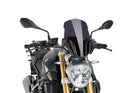 BMW R 1200 R [2018] – New Generation Touring – Heavily tinted-2