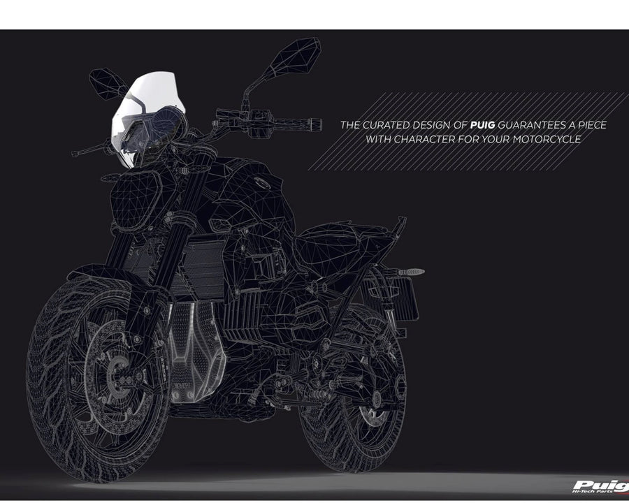 BMW R 1250 R [2025] – New Generation Sport – Tinted