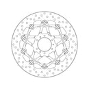Honda Ctx 1300 [BREMBO] - Series Oro round floating brake disc-2