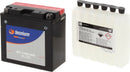 Yamaha Xvs 1100 [TECNIUM] - Maintenance-free battery with acid pack - BT14B-BS