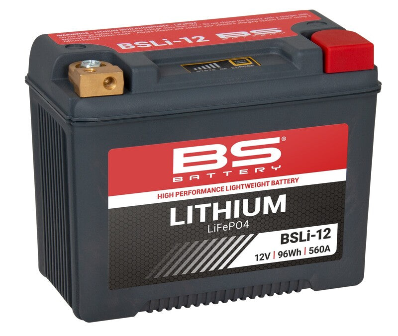 Harley Davidson Flhtcui [BS BATTERY] - Lithium-ion battery - BSLI-12