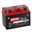Cf Moto 700 Cl X Heritage [BS BATTERY] - SLA Maintenance Free Battery Factory Activated - BTZ14S-1