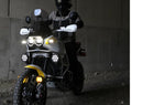 Ducati Desertx DX900 [Denali] - Cansmart ™ Controller-2