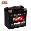 Kawasaki Zrx [BS BATTERY] - SLA Maintenance Free Battery Factory Activated - BGZ16H