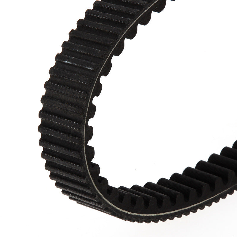 Cf Moto 800 [TECNIUM] - EliteGrip CVT drive belt