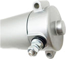 Benelli Trk 502 [TECNIUM] - Starter-2