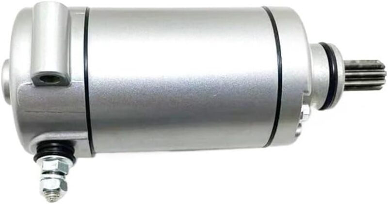 Benelli Leoncino 500 Trail [TECNIUM] - Starter