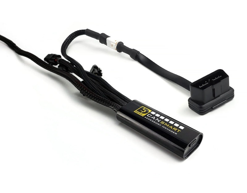 Triumph Tiger 1200 Rally Pro [DENALI] - CANsmart™ Kit D3 fog light