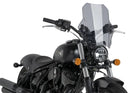 INDIAN CHIEF DARK HORSE [2021] – Daytona IV – Transparent-8