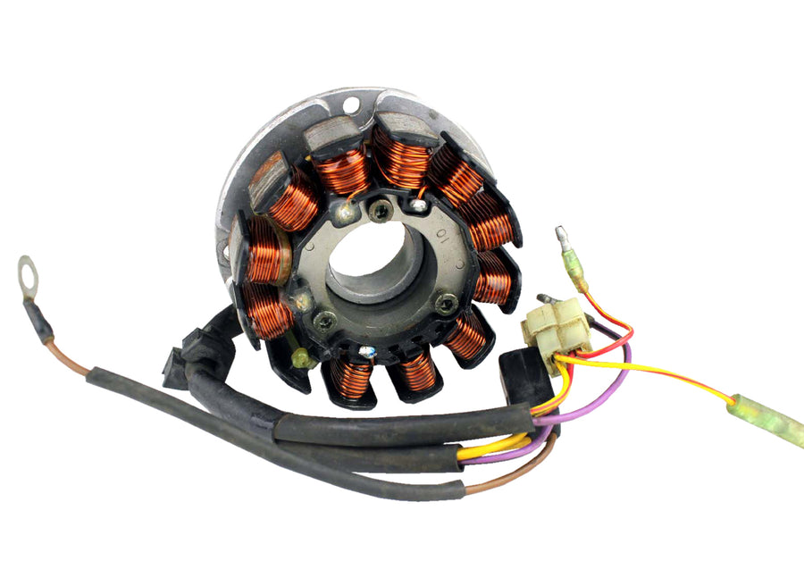ARCTIC CAT MOUNTAIN CAT 800 [2001-2002] - Stator for snowmobiles
