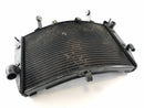 Yamaha YZF R1 RN12 [2005] - Radiator Water Cooler-3