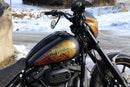 harley davidson fxlrst [CULT WERK] – Dash cover for Harley-3