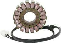 Triumph Daytona [RICK'S MOTORSPORT ELECTRIC] – Stator für Triumph