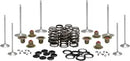 Harley-Davidson FLRT 1868 Freewheeler 114 [2021-2024] - Titanium Ventilfederhalter-Kit – Bild 7