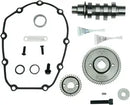 Harley-Davidson FLRT 1868 Freewheeler 114 [2021-2023] - 590C Kettenantrieb-Nockenwellen-Kit – Bild 12