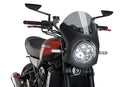 KAWASAKI Z 900 RS SE [2025] – Retro Fairing Screen – Tinted-21