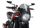 KAWASAKI Z 900 RS SE [2025] – Raptor – Heavily tinted-8