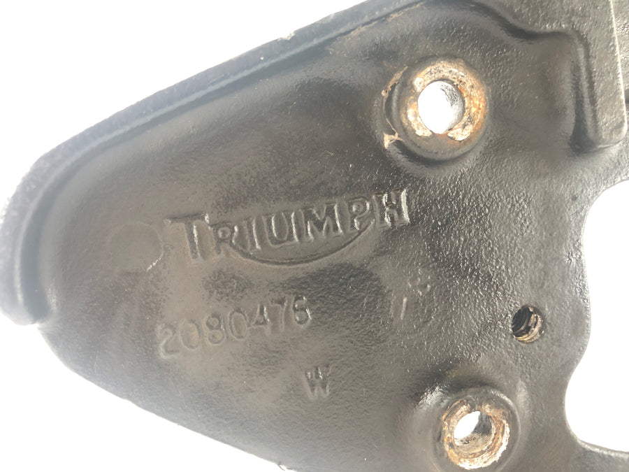 Triumph Tiger 955i 709EN [2001] - Driver footrest right Footrest front right
