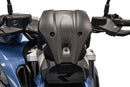 BMW R 1300 R Exclusive [2025+] - Carbon-Windschild