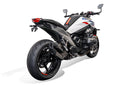 BMW R 1300 R Exclusive [2025+] - Kennzeichenhalter